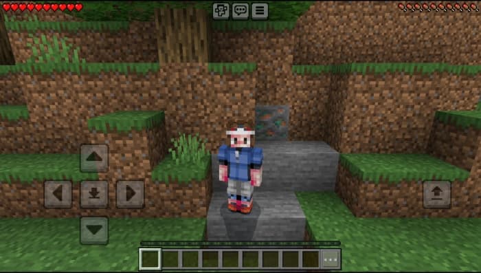 Pokémon Skin Pack: Screenshot 19