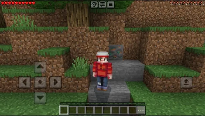 Pokémon Skin Pack: Screenshot 24