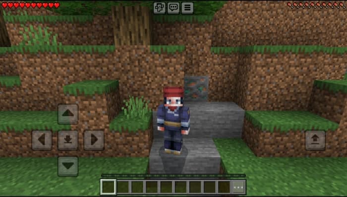 Pokémon Skin Pack: Screenshot 25