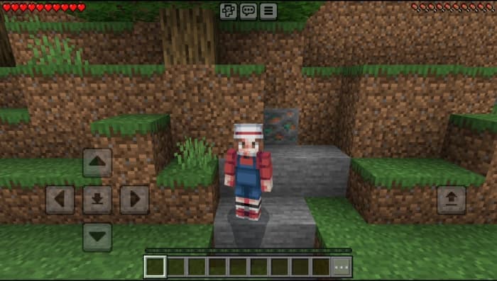 Pokémon Skin Pack: Screenshot 5