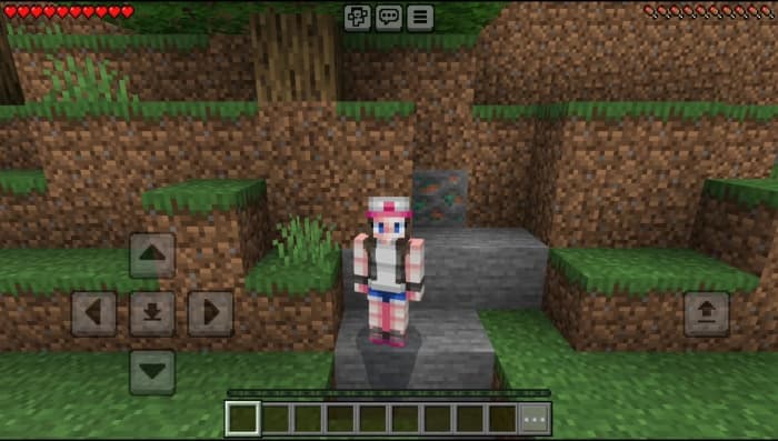 Pokémon Skin Pack: Screenshot 7