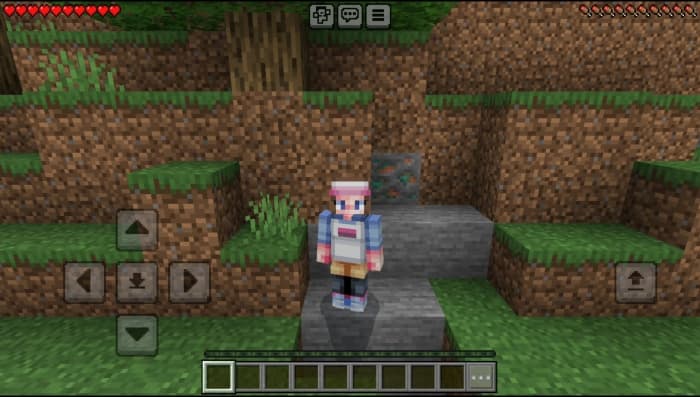 Pokémon Skin Pack: Screenshot 9