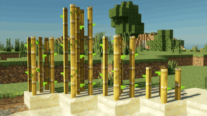 Fused's Sugar Canes: Screenshot