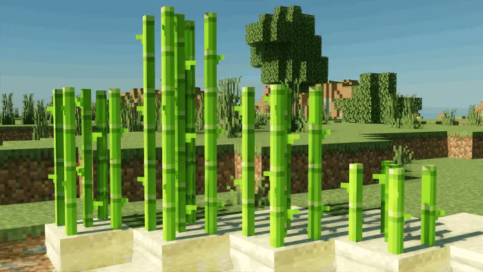 Vanilla Sugar Canes: Screenshot
