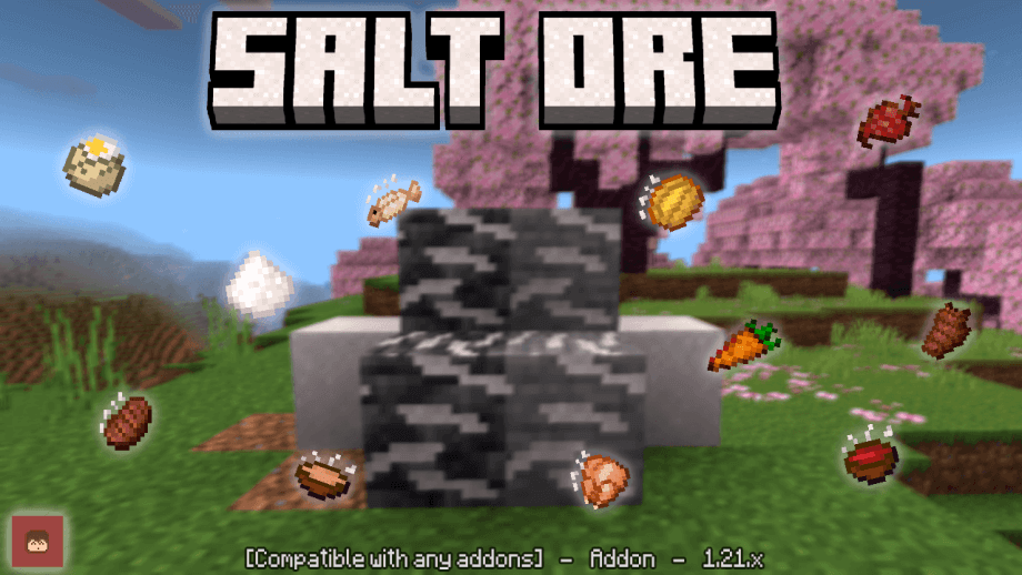 Thumbnail: Salt Ore and Food || Compatible with any Addons and Realms!!!