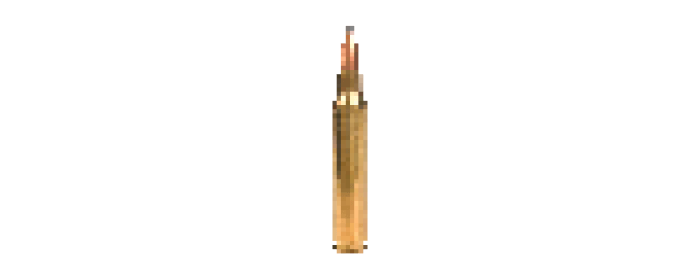 Gun Bullet
