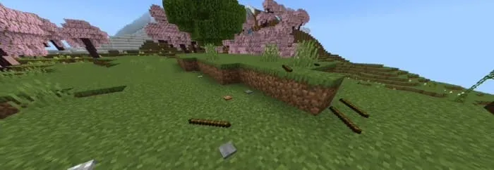 Rocks & Sticks on the ground