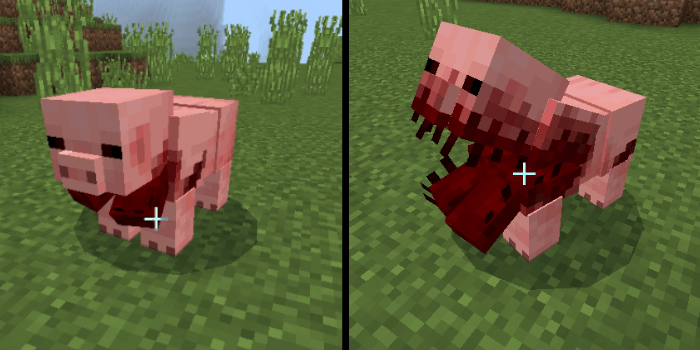 Infected Pig: Screenshot