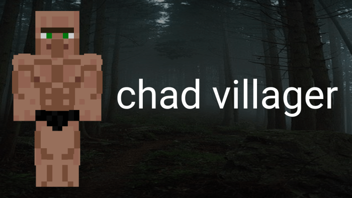 Chad Villager