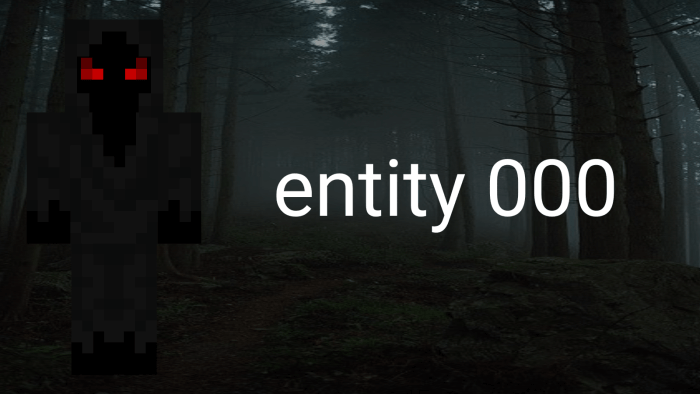 Entity 000