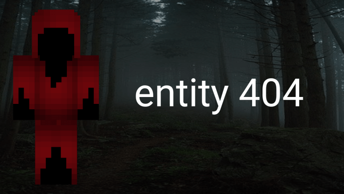 Entity 404