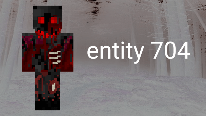 Entity 704