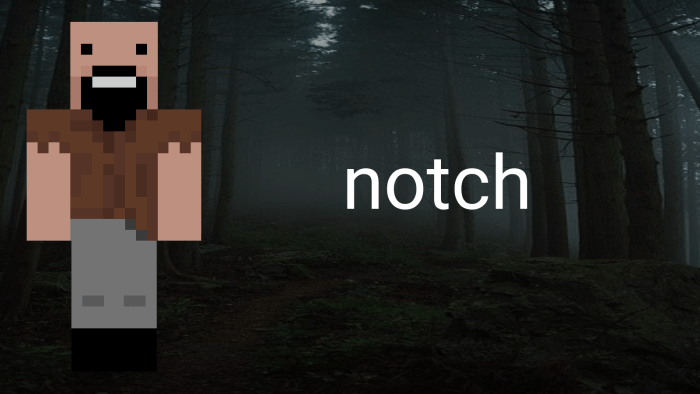 Notch