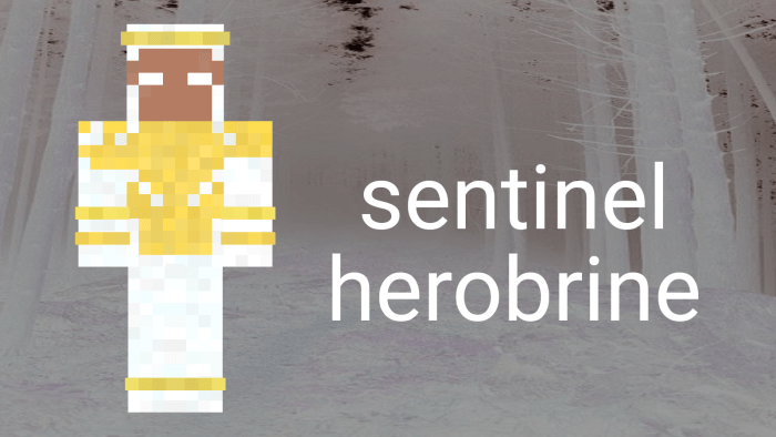 Sentinel Herobrine