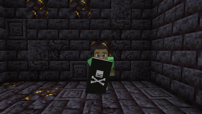 Custom Shields: Screenshot 1