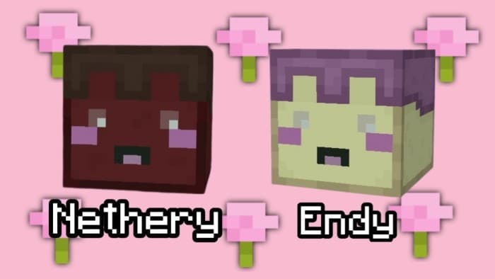 Nethery & Endy