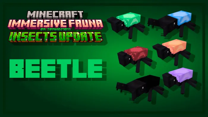 Beetles