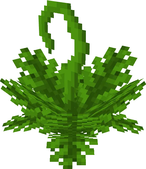 Abundant Fern