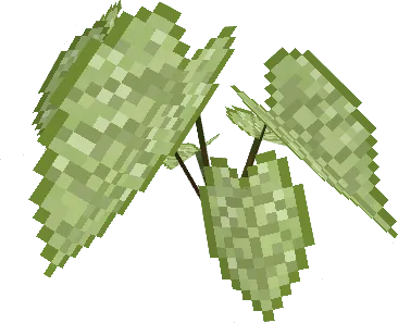 Caladium Lime