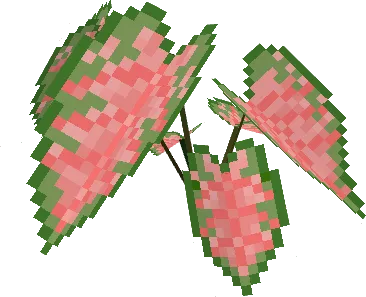 Caladium Red