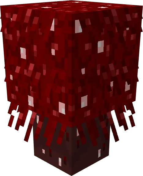 Crimson Hairy Fungus