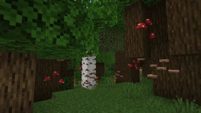 Dark Forest Flora: Screenshot