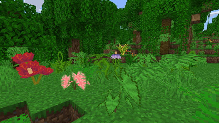 Jungle Flora: Screenshot