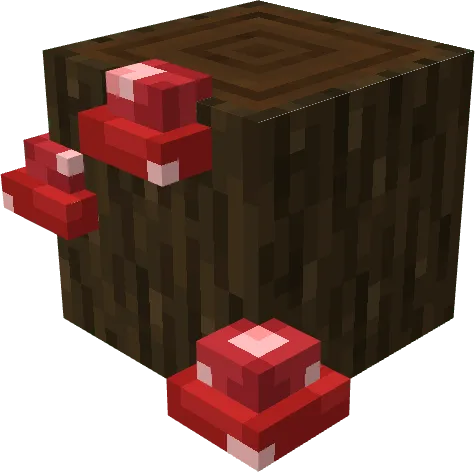 Red Lateral Dark Oak Mushroom