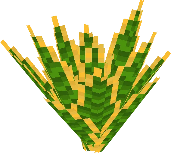 Snake Plant
