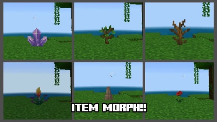 Item Morph!