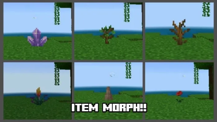 Item Morph!