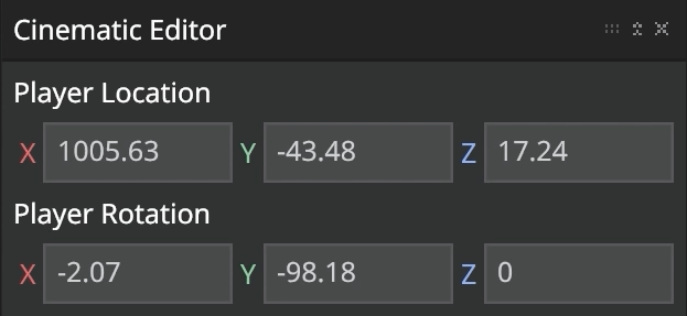 Player Location & Rotation Settings