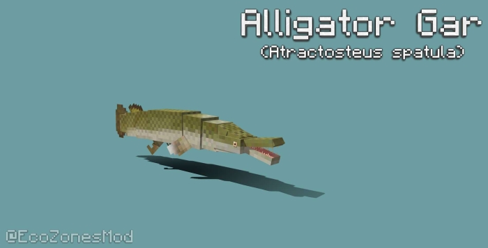 Alligator Gar