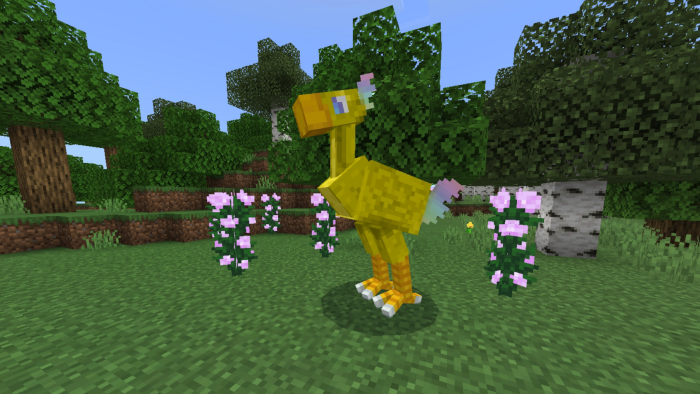 Chocobo: Screenshot 1