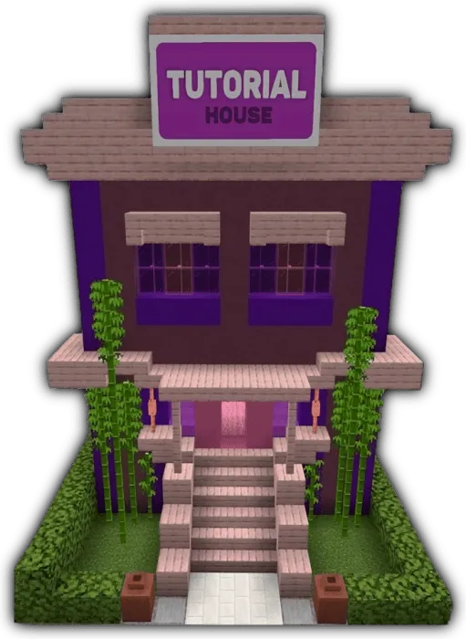 The Pink House