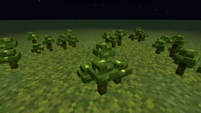 Clumps of Mosshroom Fungus