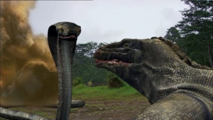 Komodo vs Cobra: Original