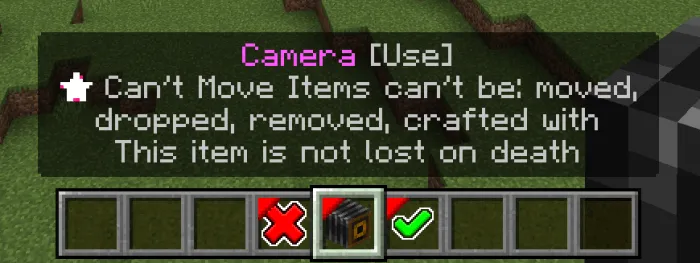 Camera Item: Screenshot