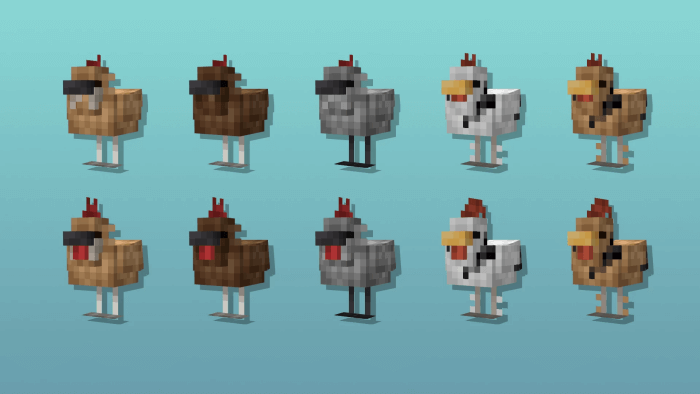 Chilly Chickens