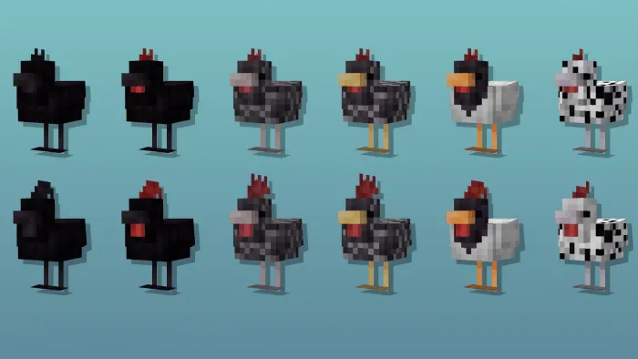 Cold Chickens
