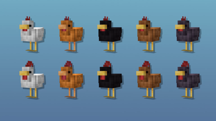 Normal Chickens