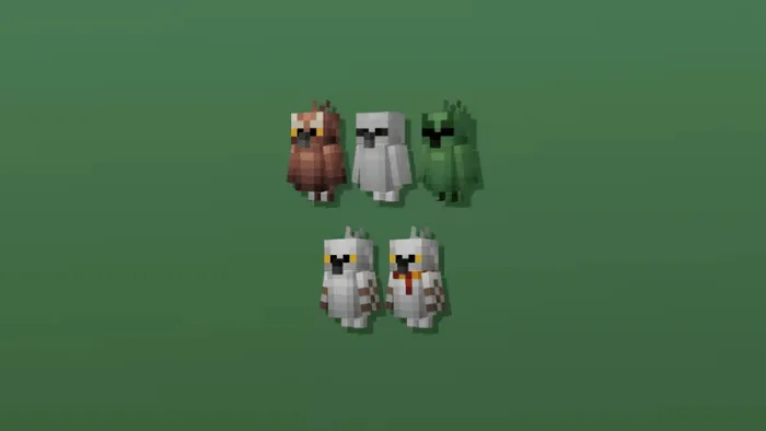 Owls