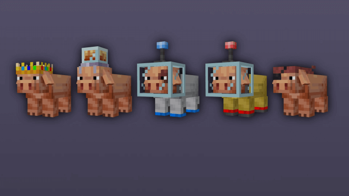 Rare Pigs