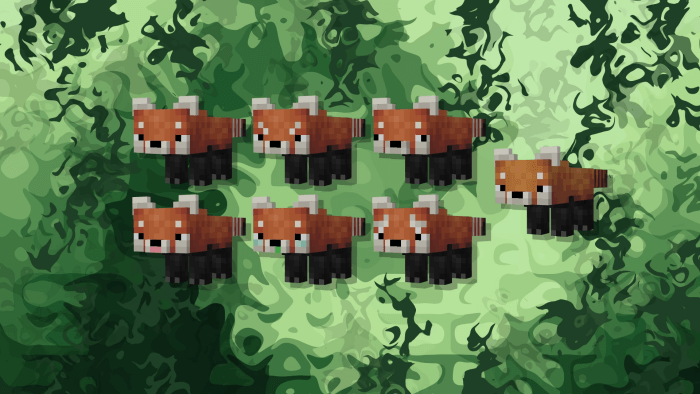 Red Pandas