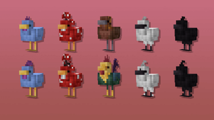 Special Chickens