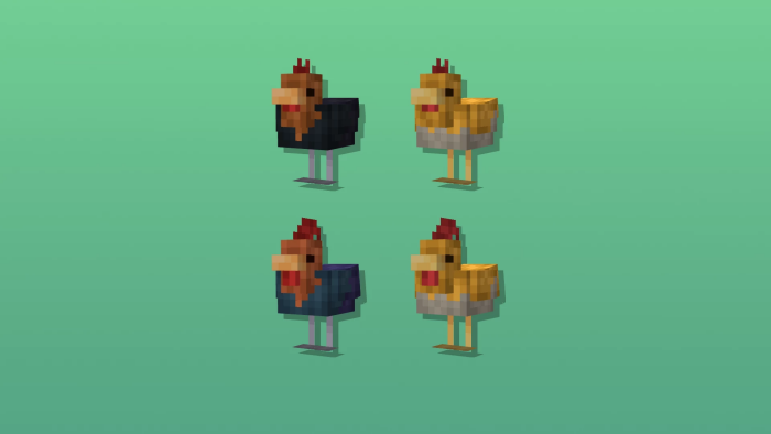 Tropical Chickens