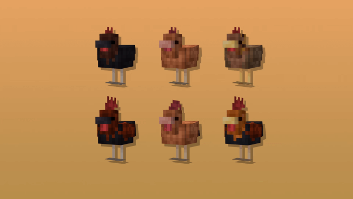 Warm Chickens