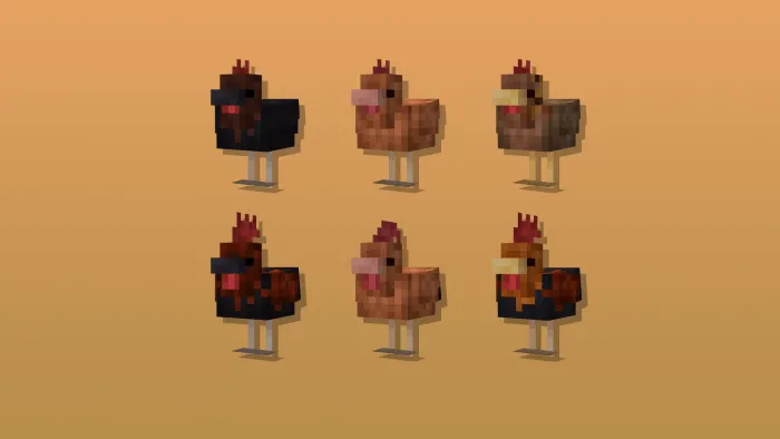Warm Chickens