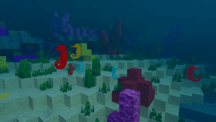 Seahorses: Screenshot