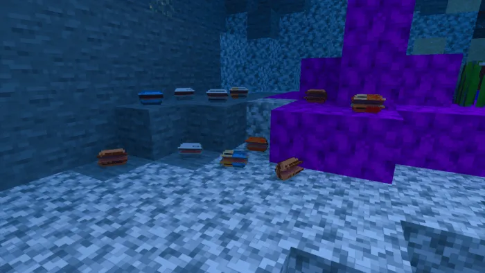 Shells: Screenshot